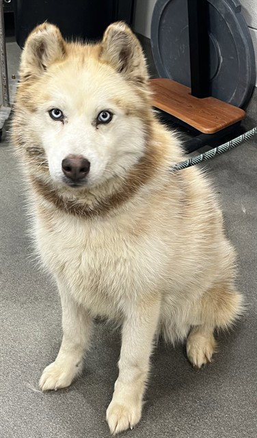 LUNA