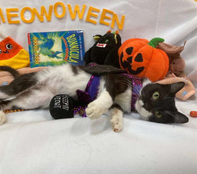 *BINX