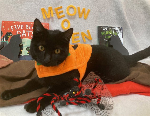 *SALEM