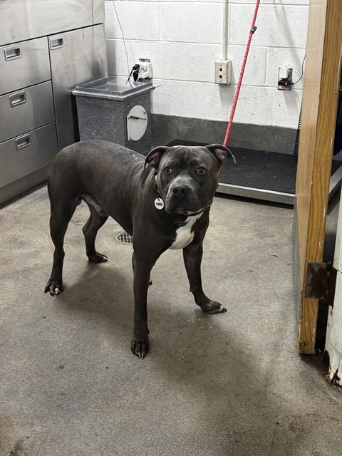 Smoke
