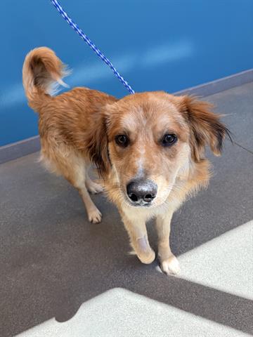 Rusty