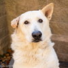 DARLA - Photo 1