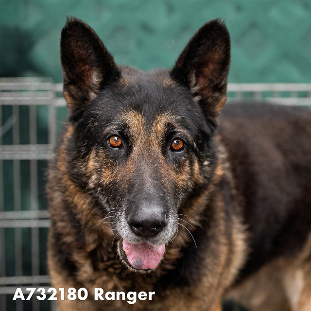 RANGER