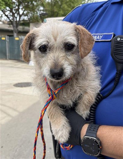 ENRIQUA