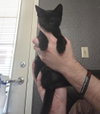 BEAN - Photo 1