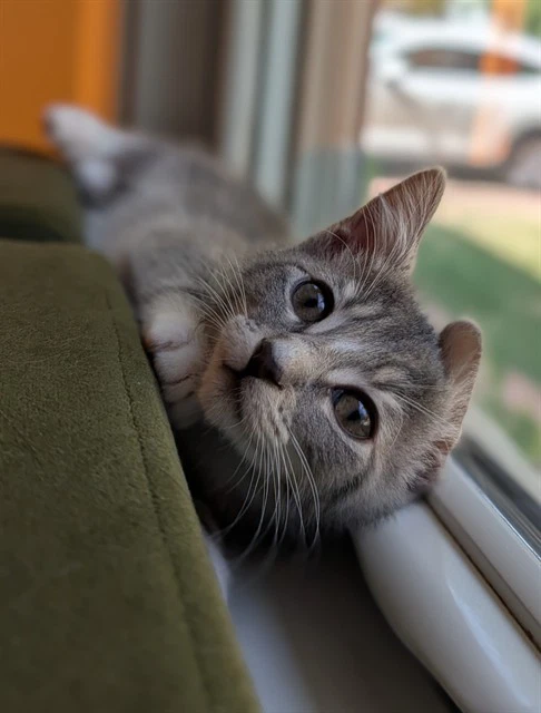 Lucy