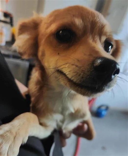 Max
