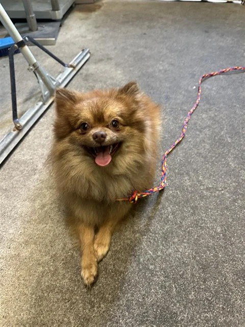 Max