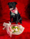 SHILOH - Photo 1
