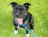 DOTTIE - Photo 1