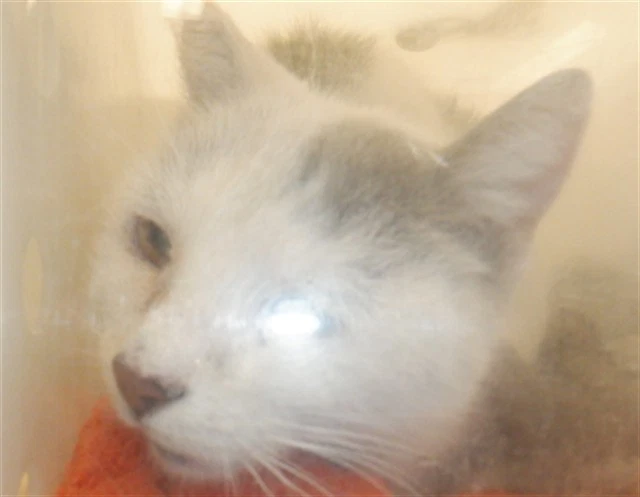Unknown