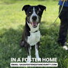 *RUGER - Photo 1