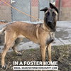 *ROSIE - Photo 1