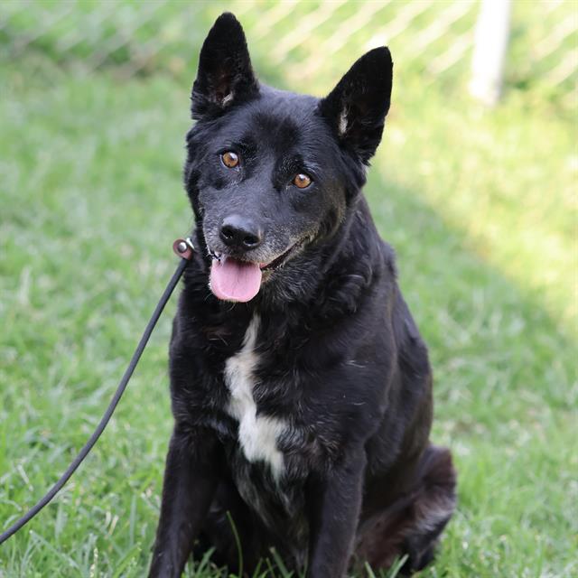 Unknown