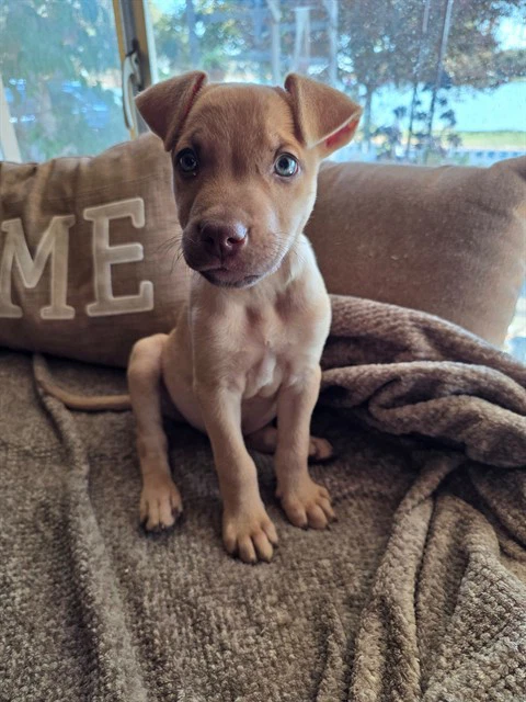 Charlie