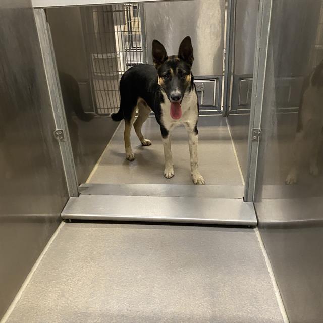 Max