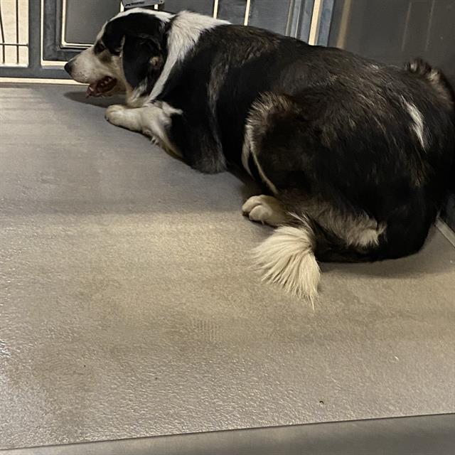 Max