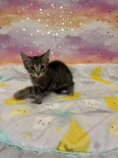 Luna