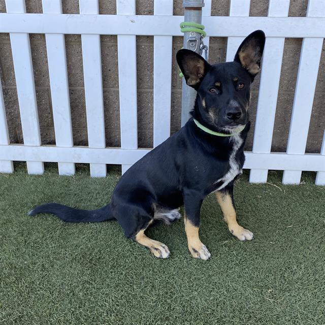 Max