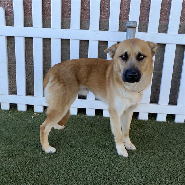 Max