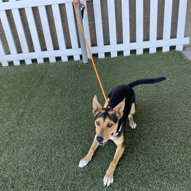 Max