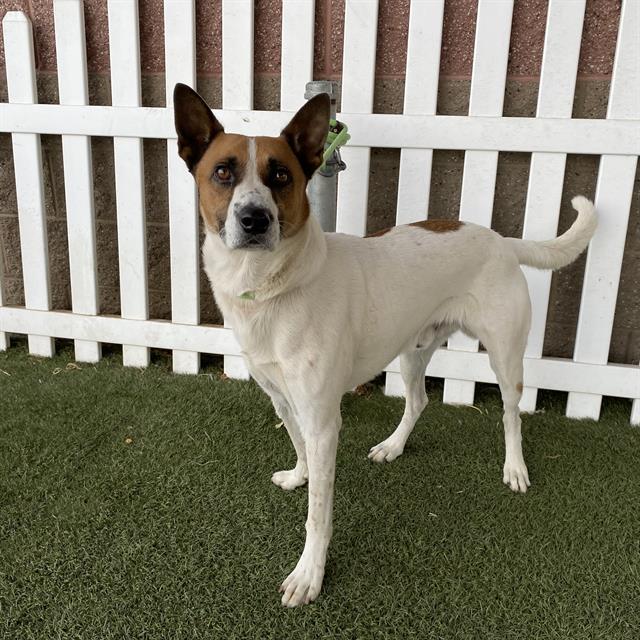 Max