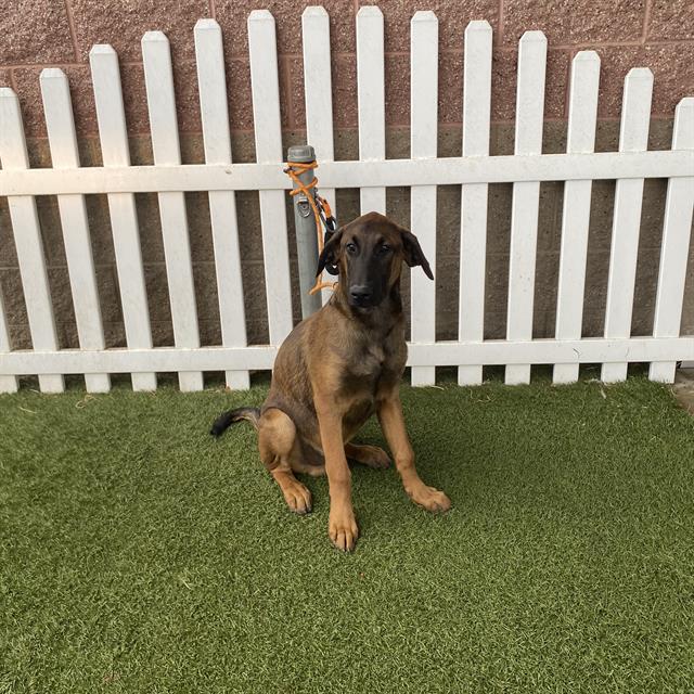 Max