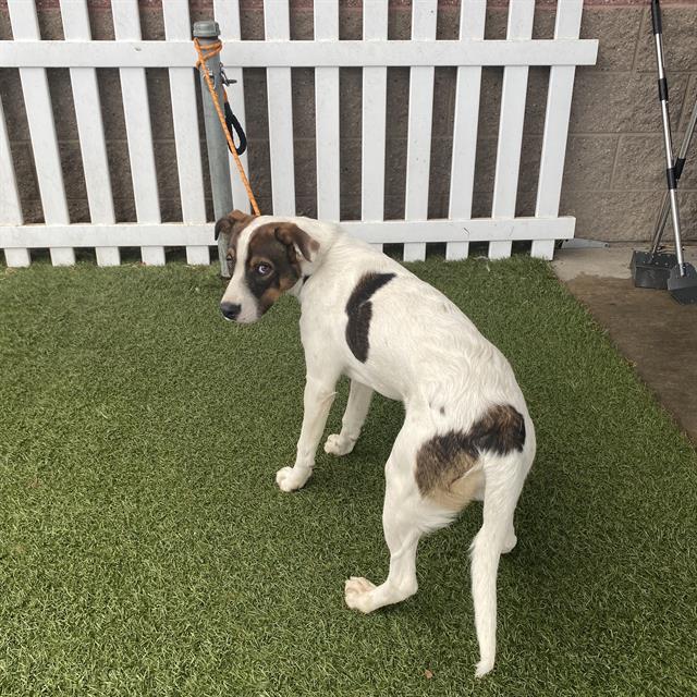 Max
