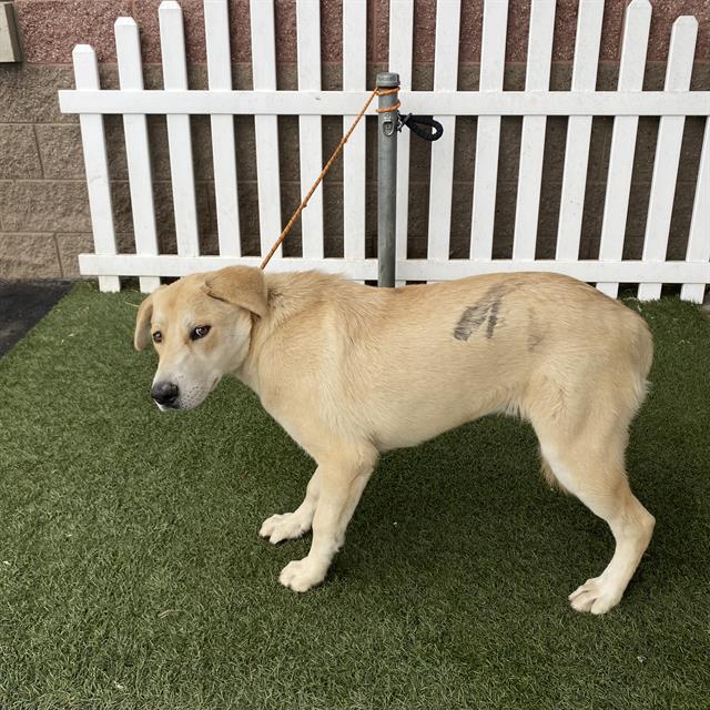 Max