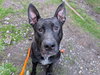 WALTER - Photo 1