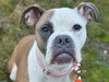 ADDIE - Photo 1