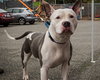 CASH - Photo 1