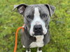 ARLO - Photo 1