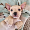 LITTLEFOOT - Photo 1