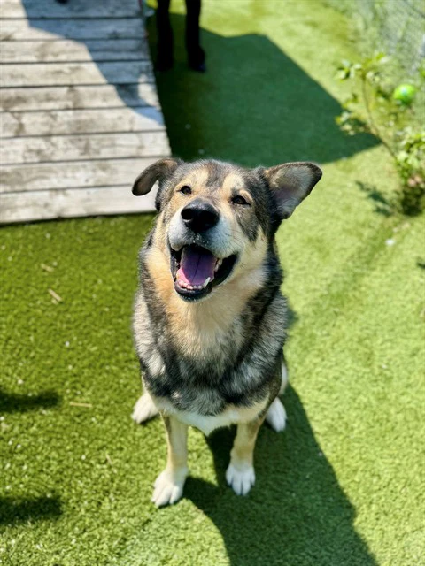 Max