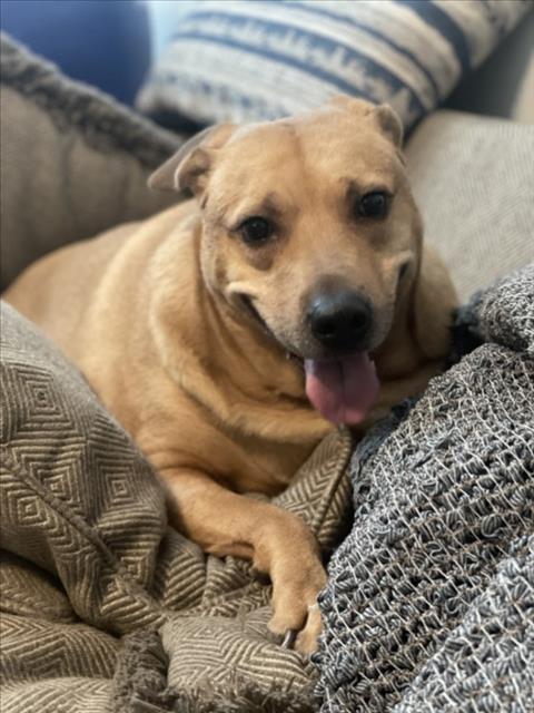 PENNY