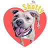 SHOTTY - Photo 1