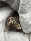 *BEANS - Photo 1