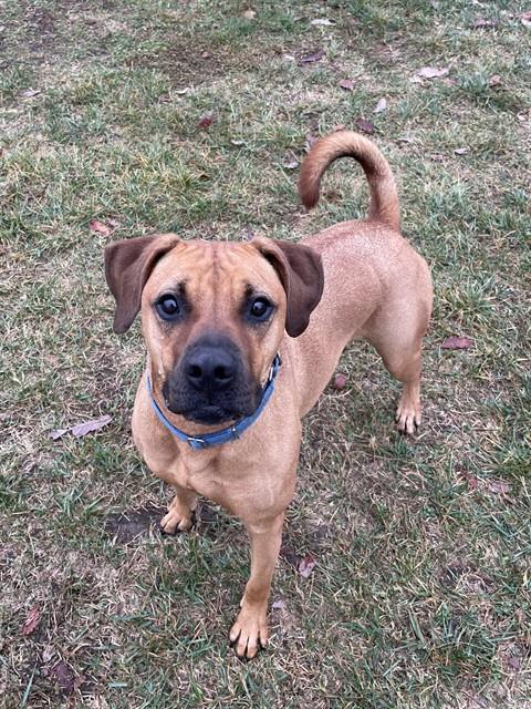 CHRIS