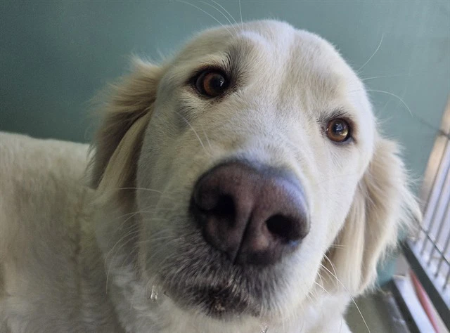 Matilda