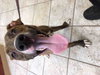 PARKER - Photo 1