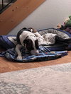 Kiri - Photo 3