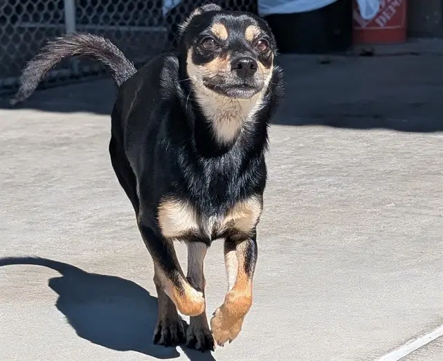 Santa Fe - Chihuahua