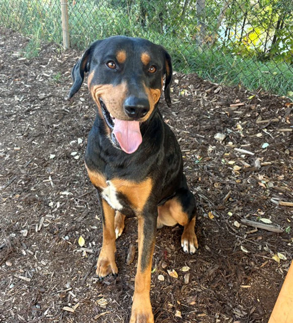 Sebastian
