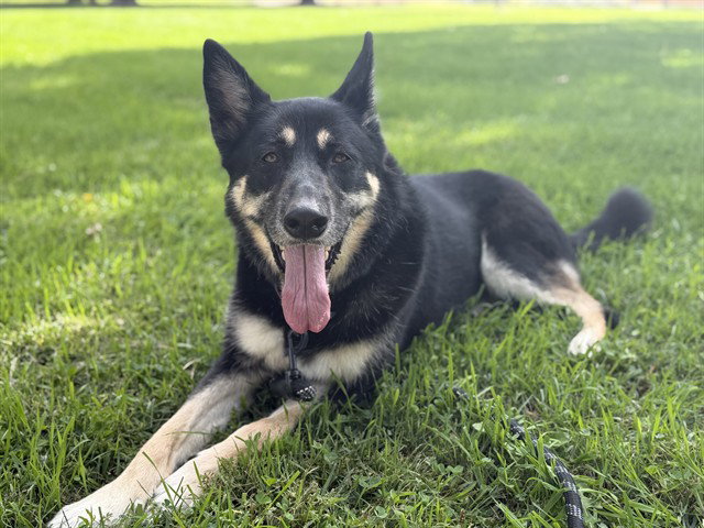 MIKA