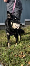 Roxie Anne - Photo 3