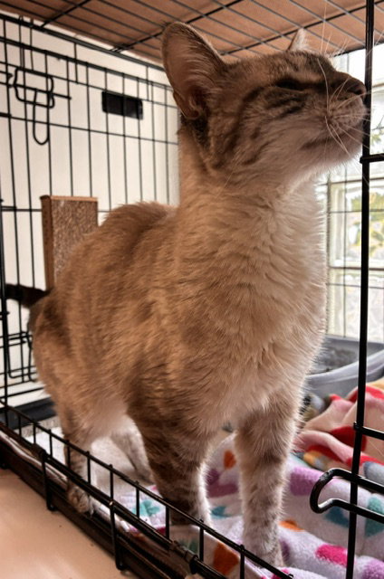 Sophie photo 3