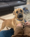 Bonnie - Photo 4