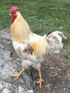 FRED - Photo 1