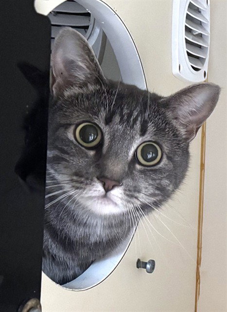 JUNO